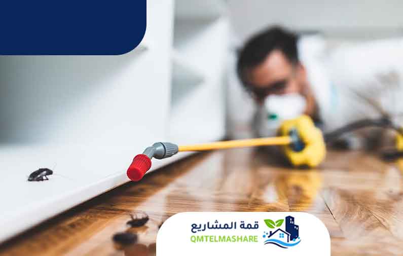 مكافحة الحشرات بجدة
