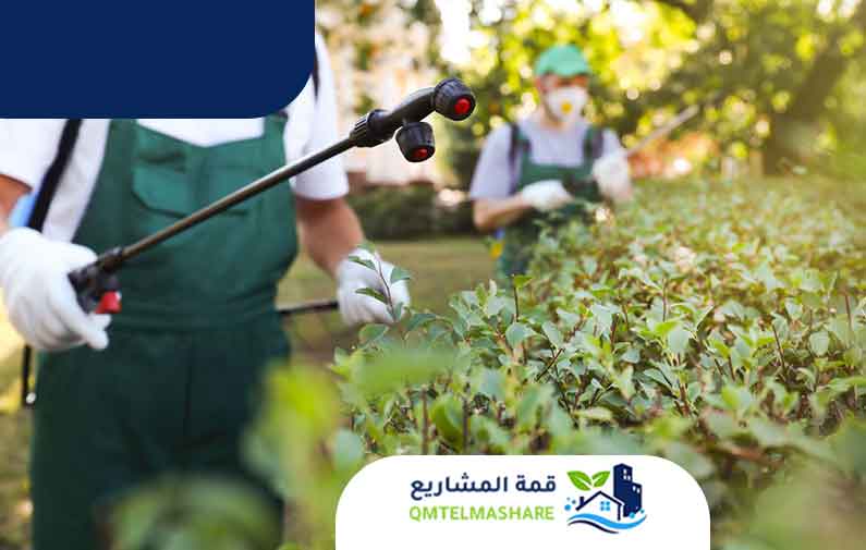 مكافحة الحشرات بجدة