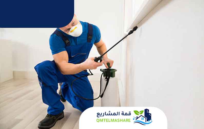 مكافحة الحشرات بمكة