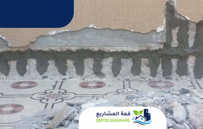 شركة معالجة التعشيش بجدة