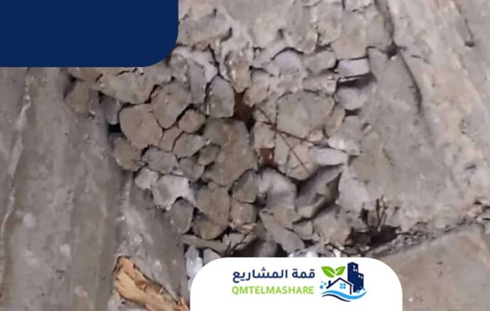 شركة معالجة التعشيش بجدة