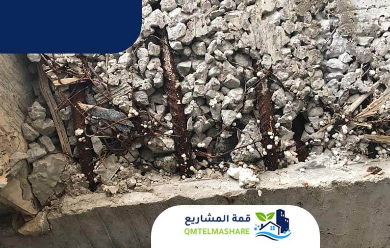 شركة معالجة التعشيش بجدة