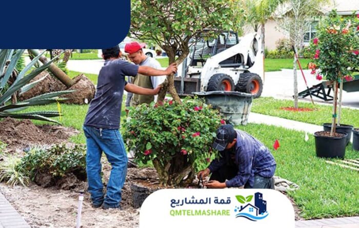 تنسيق حدائق بجدة