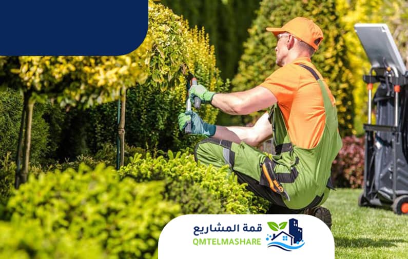 تنسيق حدائق بجدة