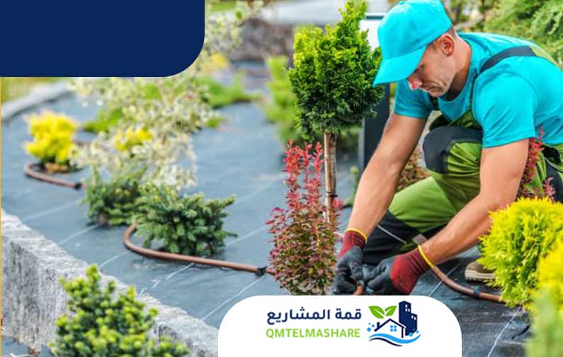 تنسيق حدائق بجدة