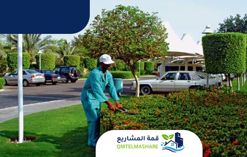 تنسيق حدائق بجدة