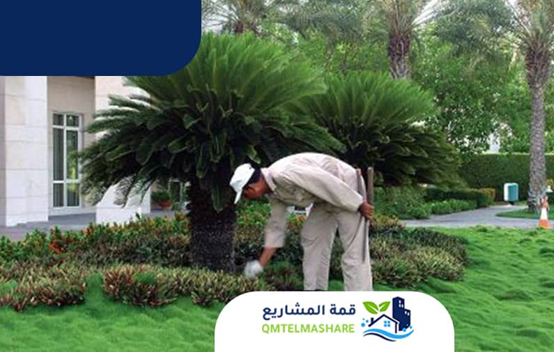 شركة تنسيق حدائق