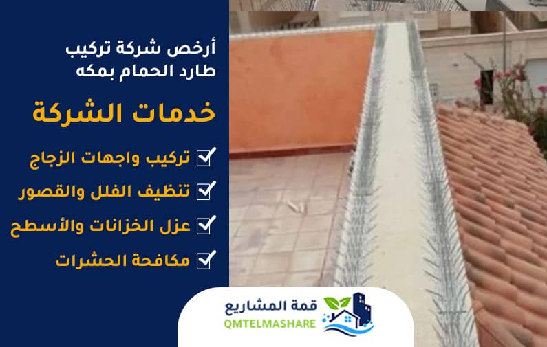 شركة تركيب طارد الحمام بمكه