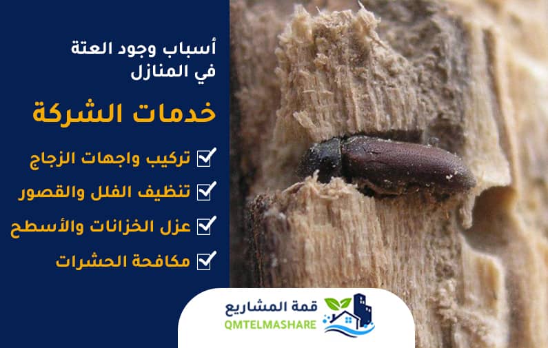 شركة مكافحة العته بجدة