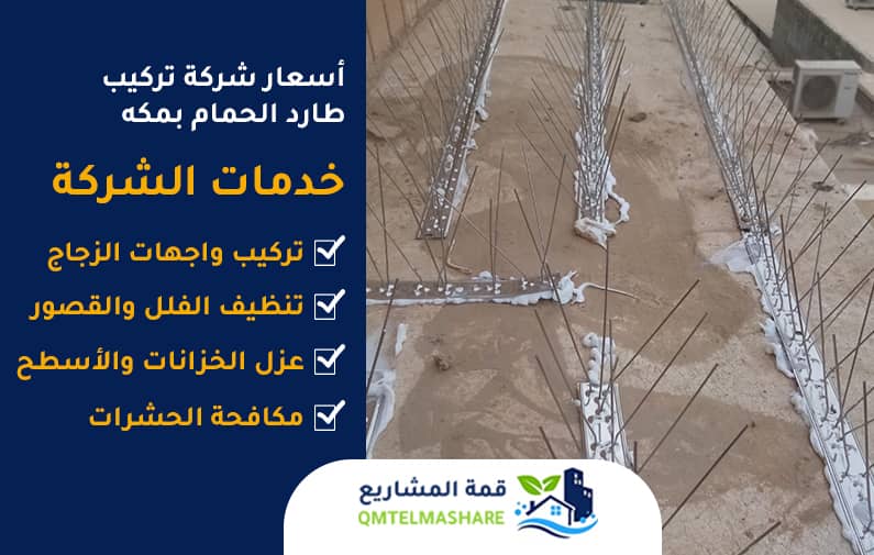شركة تركيب طارد الحمام بمكه