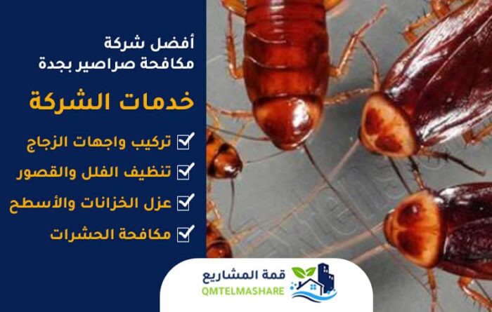 شركة مكافحة صراصير بجدة