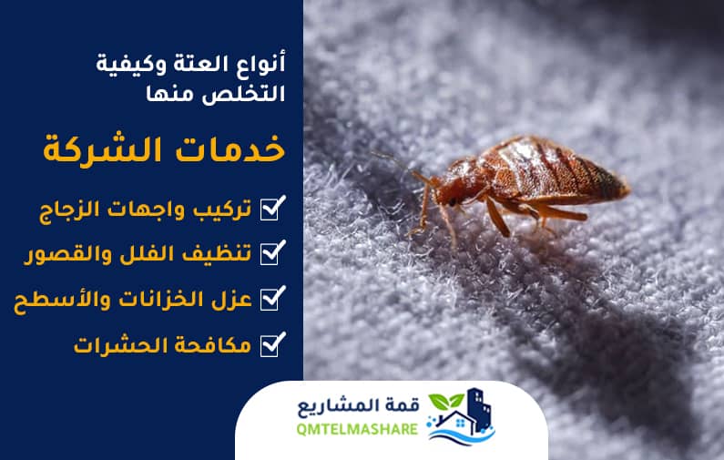شركة مكافحة العته بجدة