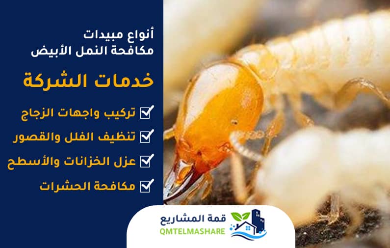 شركة مكافحة النمل الأبيض بجدة