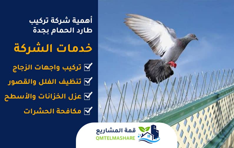 شركة تركيب طارد الحمام بجدة