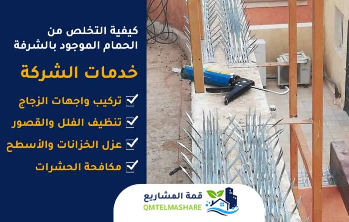 شركة تركيب طارد الحمام بجدة