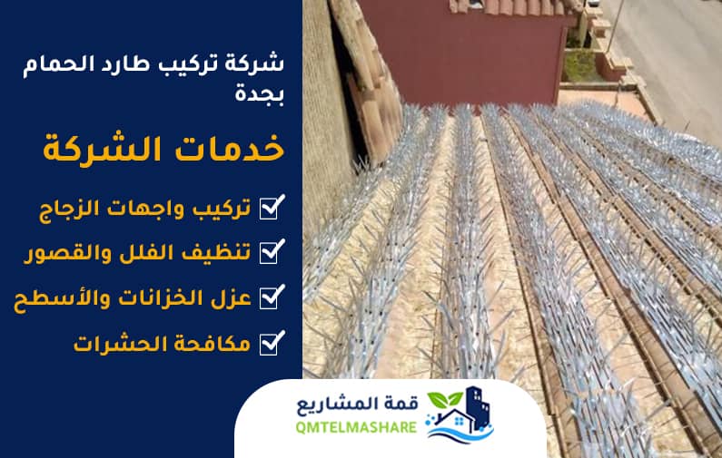شركة تركيب طارد الحمام بجدة
