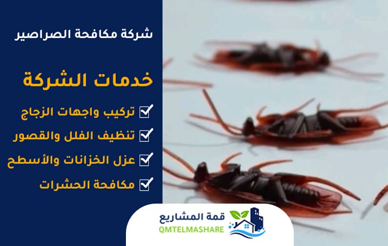 شركة مكافحة صراصير بجدة
