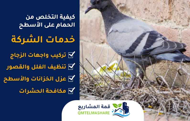 شركة تركيب طارد الحمام بجدة