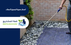 شركة مكافحة حشرات بالدمام