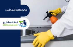 شركة مكافحة حشرات بالدمام