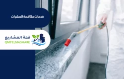 شركة مكافحة حشرات بالدمام
